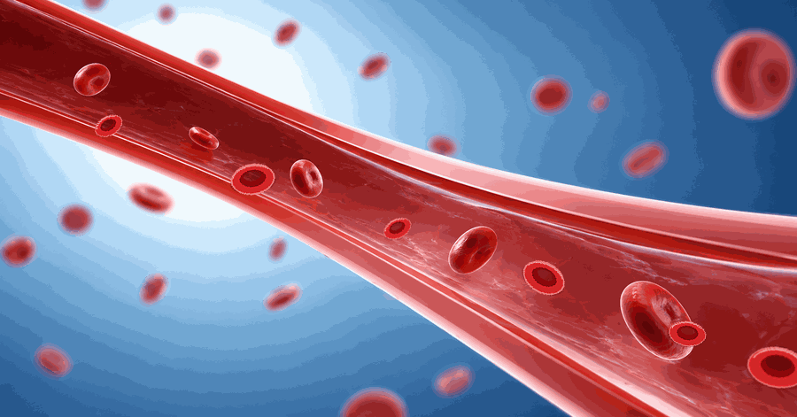 Animated educational illustration of red blood cells flowing through a blood vessel